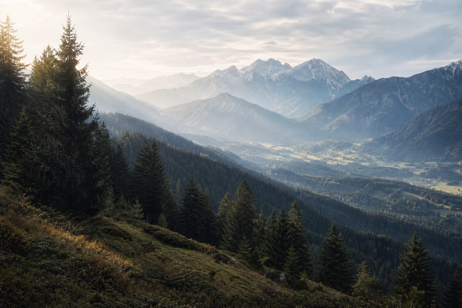 Schwarzwaldhänge mit Blick auf alpine Vorberge
